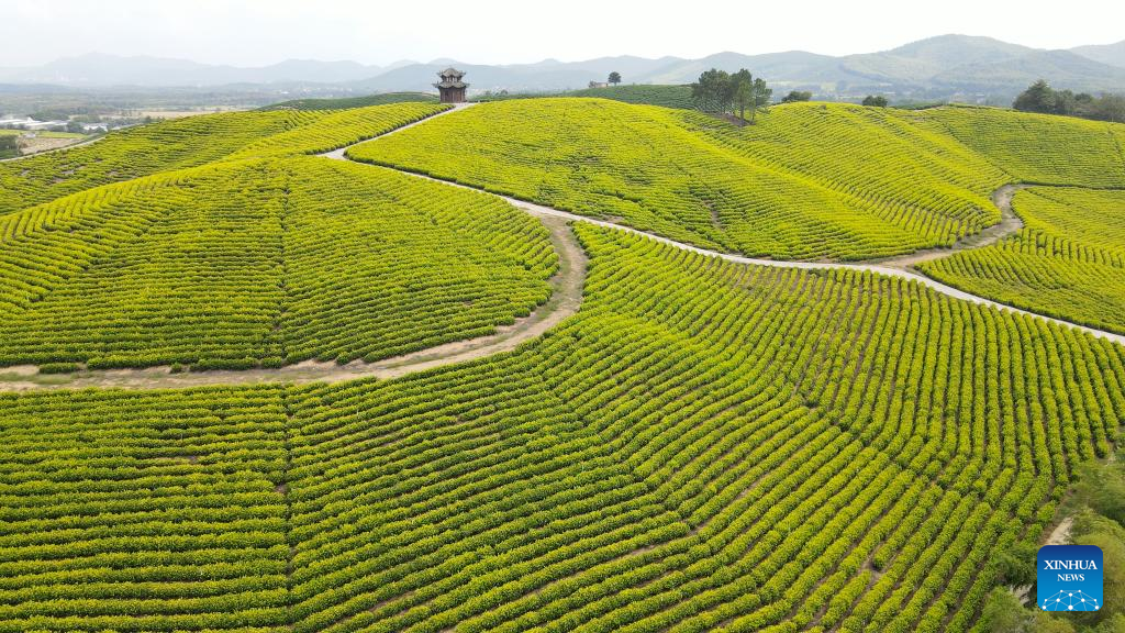 A scenic view of angangxi_site