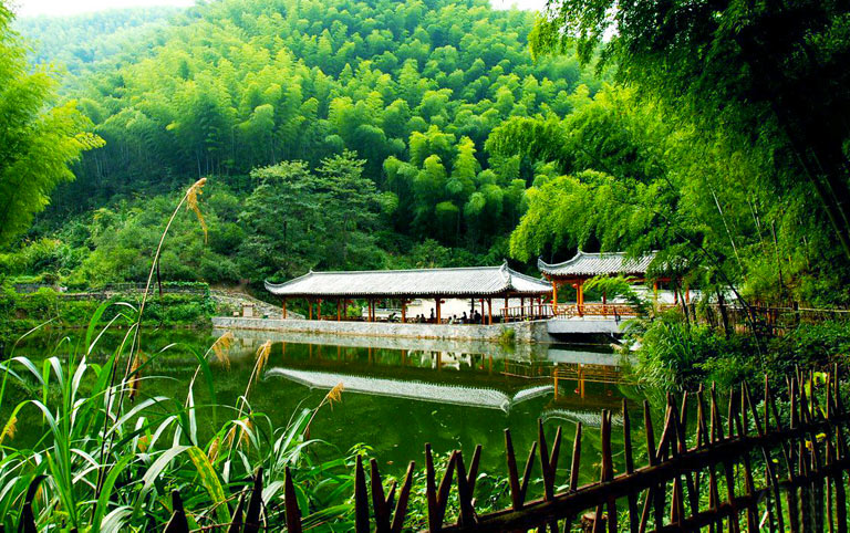 Your Complete Guide to Anji Bamboo Expo Garden: Tips for an Unforgettable Visit