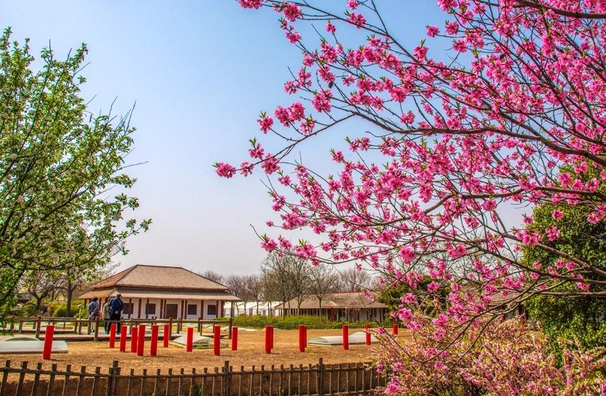 A scenic view of Anyang Yinxu Ruins