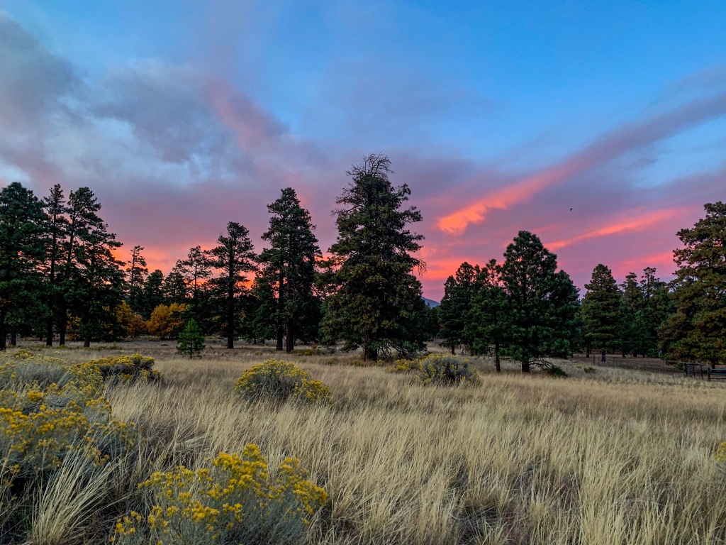A scenic view of asbestos_canyon_k_stone_forest