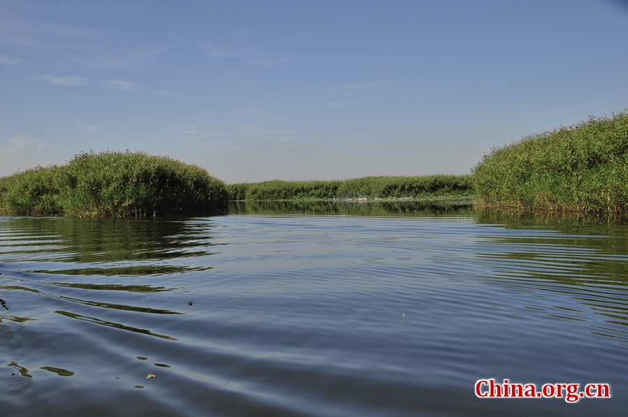 A scenic view of Baiyangdian Lake
