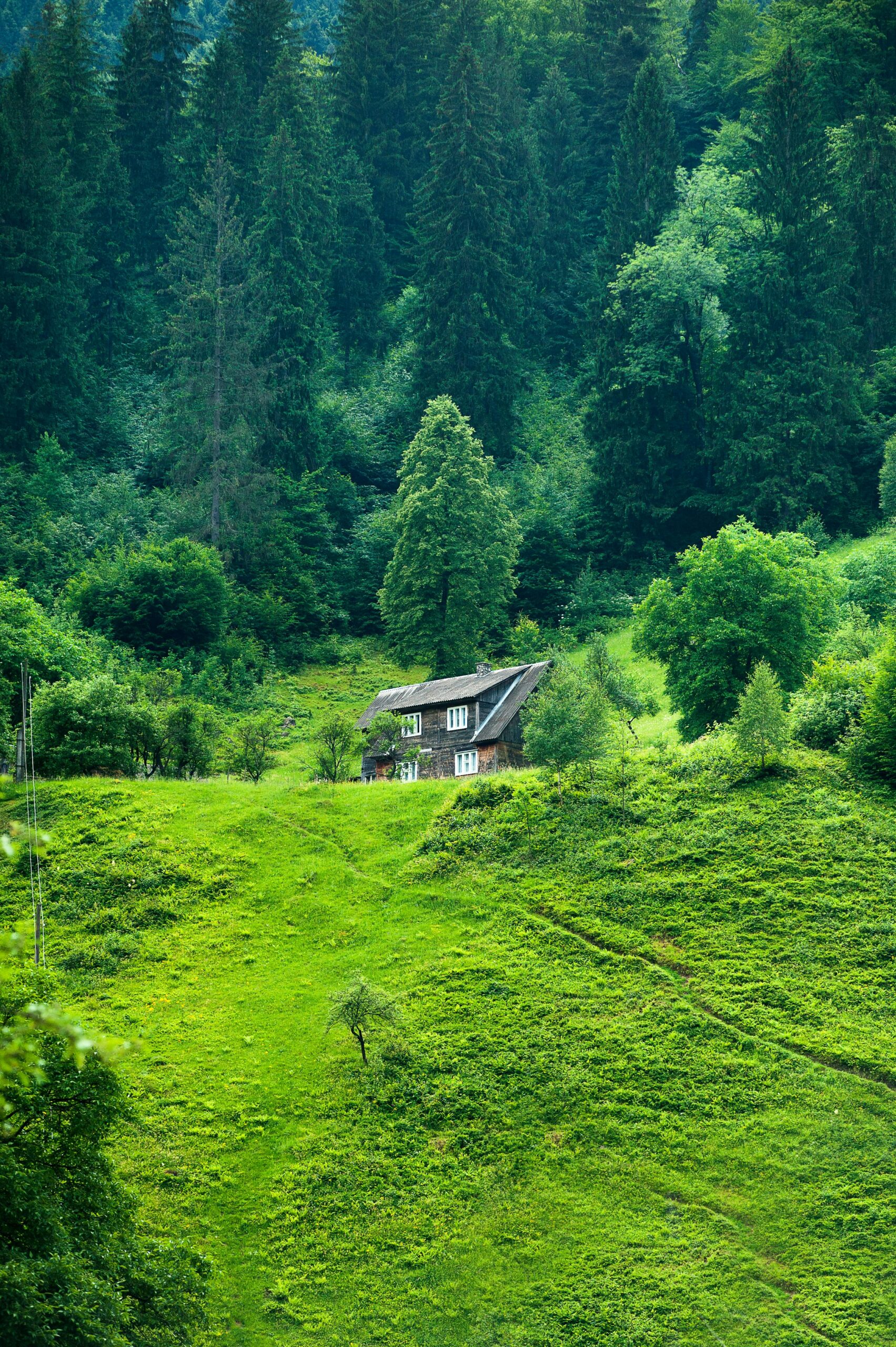A scenic view of balhae_central_capital_site