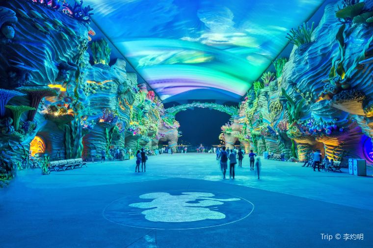 Unforgettable Experiences at Chimelong Ocean Kingdom: The Ultimate Guide