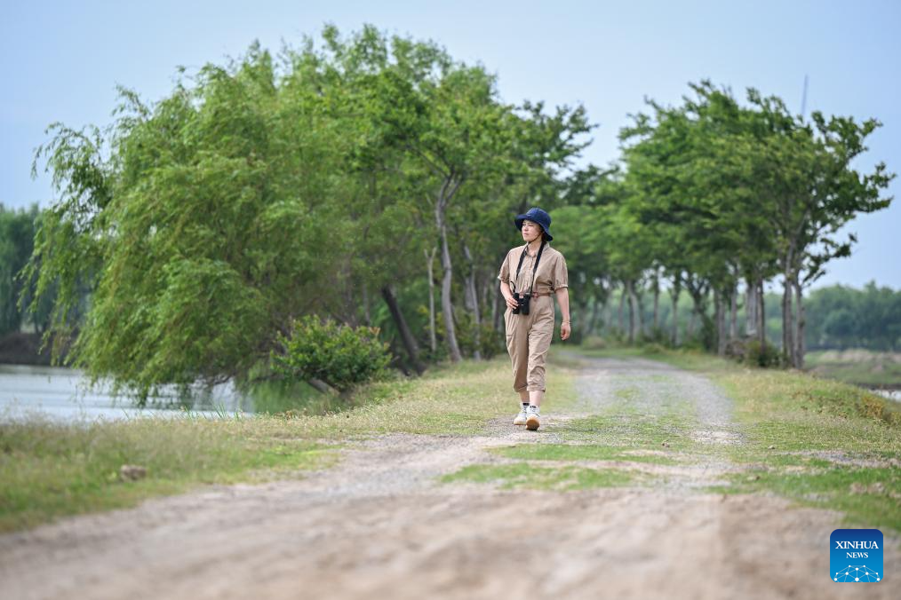 A scenic view of dafeng milu nature reserve