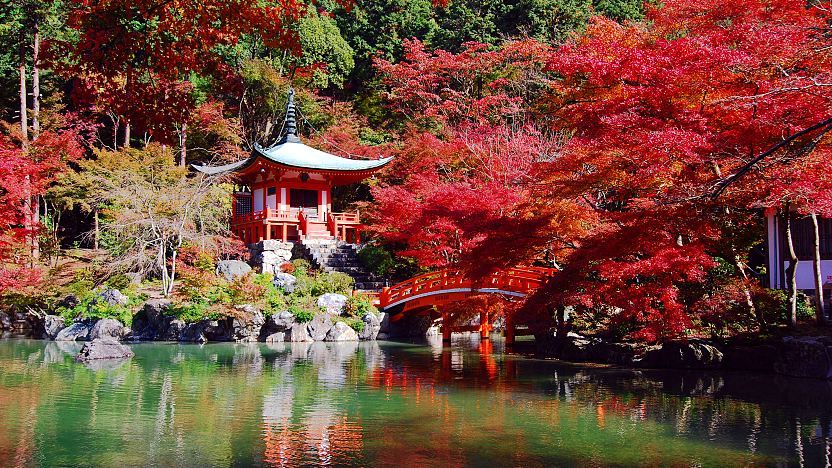 A scenic view of Dai Temple