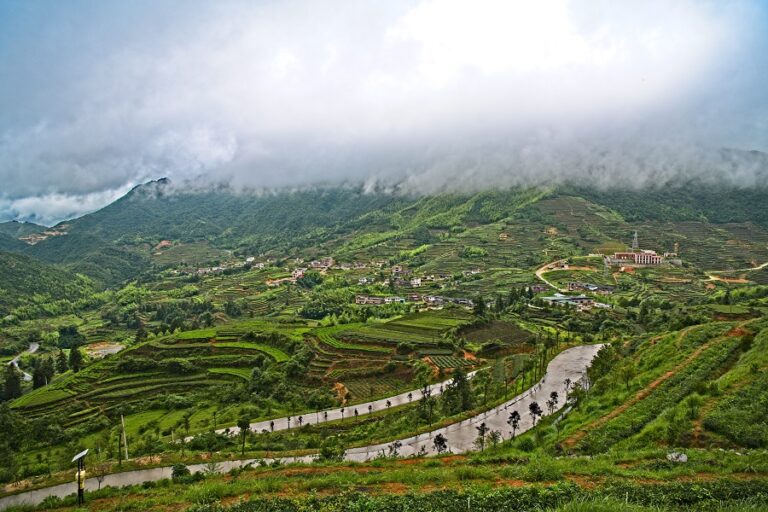 Exploring Dehua Kiln Sites: The Heart of Chinese Porcelain Production