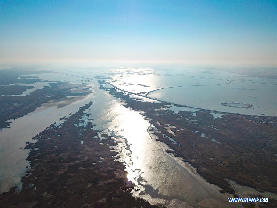 A scenic view of Dongying Yellow River Delta