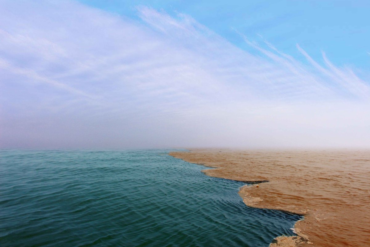 A scenic view of Dongying Yellow River Delta