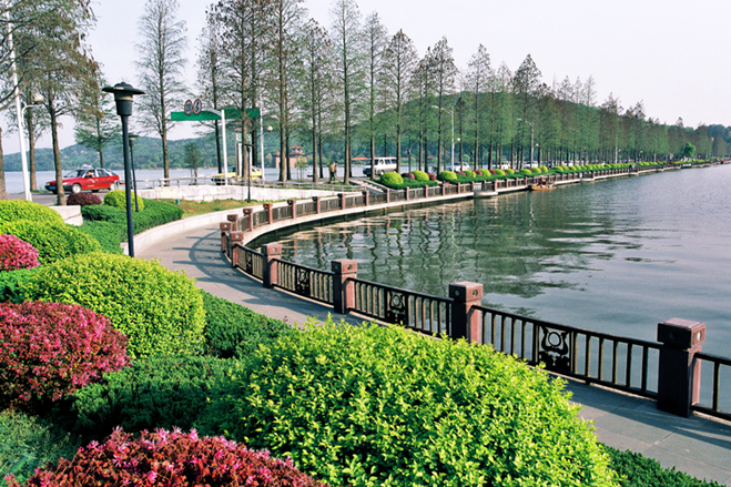 The Best Accommodations Near East Lake for Every Budget