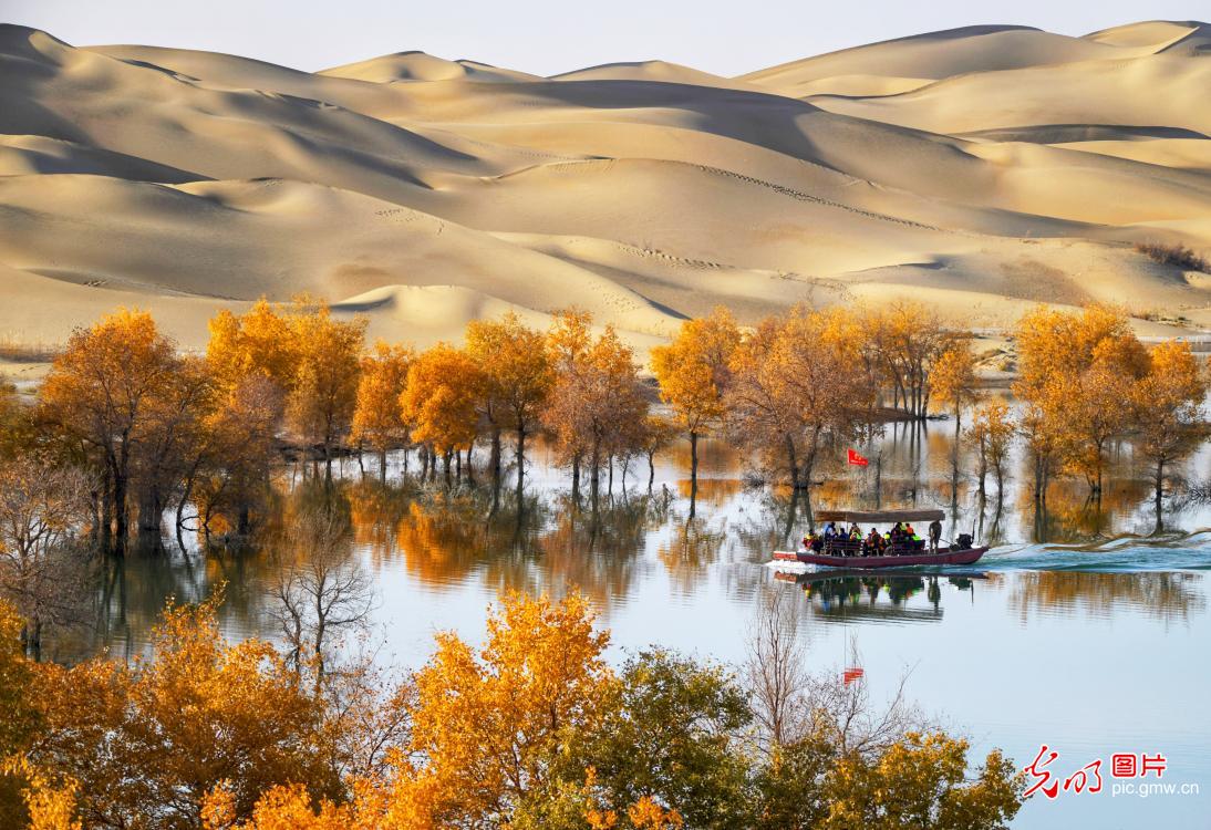 A scenic view of ejin_populus_euphratica_forest_tourism_area