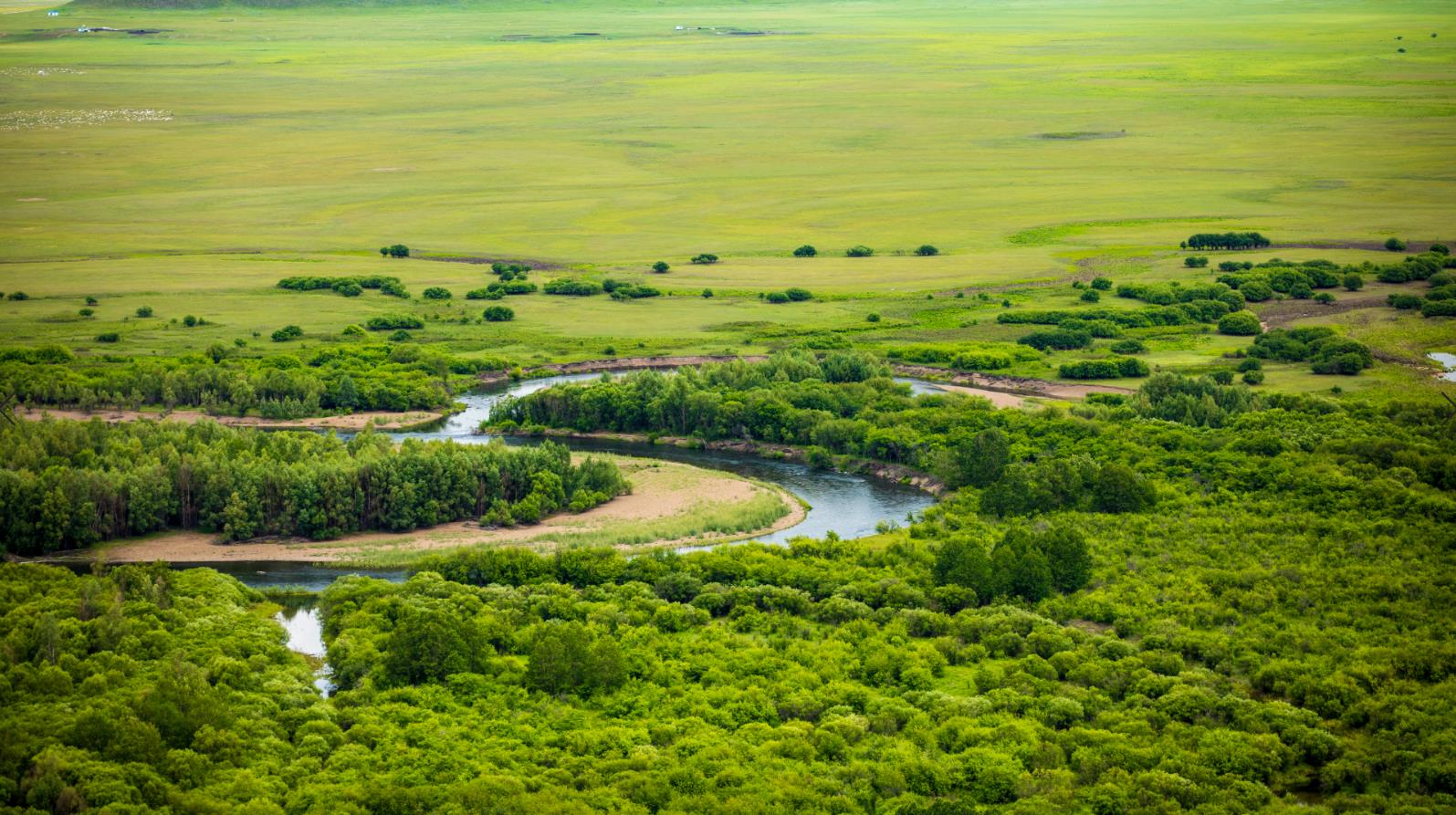 A scenic view of ergun_wetland