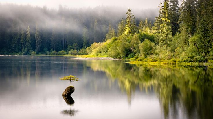 A scenic view of Fairy Lake