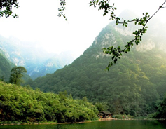 A scenic view of fengcheng river scenic area