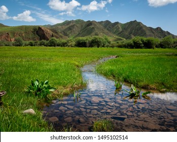 Cultural Immersion and Scenic Wonders Await at Gannan Xiahe Sangke Grassland