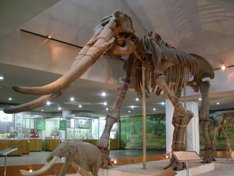 Gansu Provincial Museum: Where Ancient Artifacts Meet Modern Exhibits