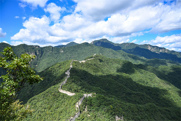 A scenic view of great_wall_beijing_section