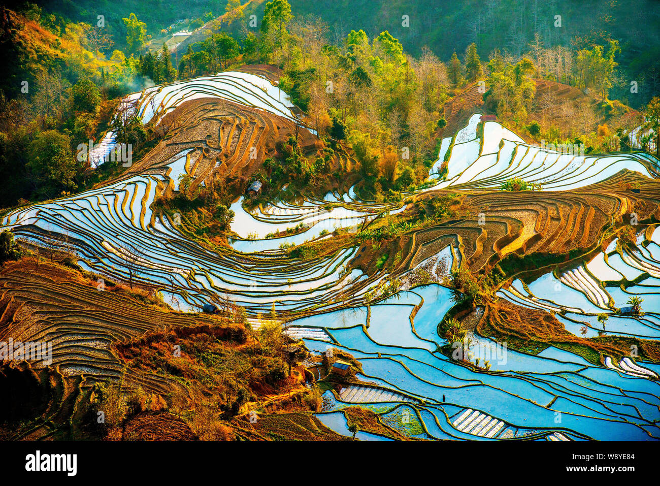 A scenic view of honghe hani terraced fields