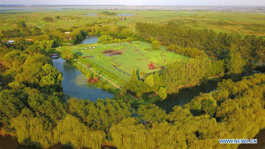 A scenic view of hongze lake