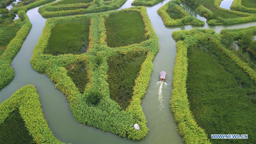 A scenic view of hongze lake