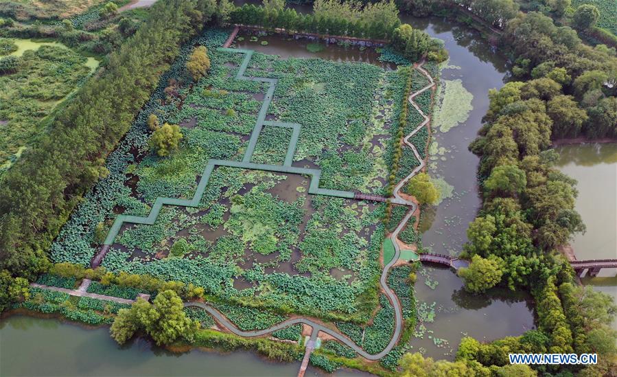 A scenic view of hongze lake wetland park