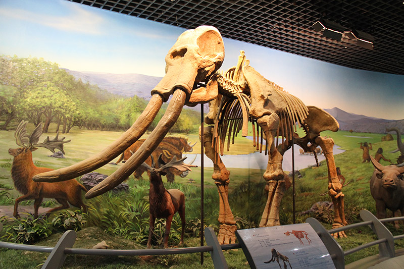 A scenic view of inner_mongolia_museum