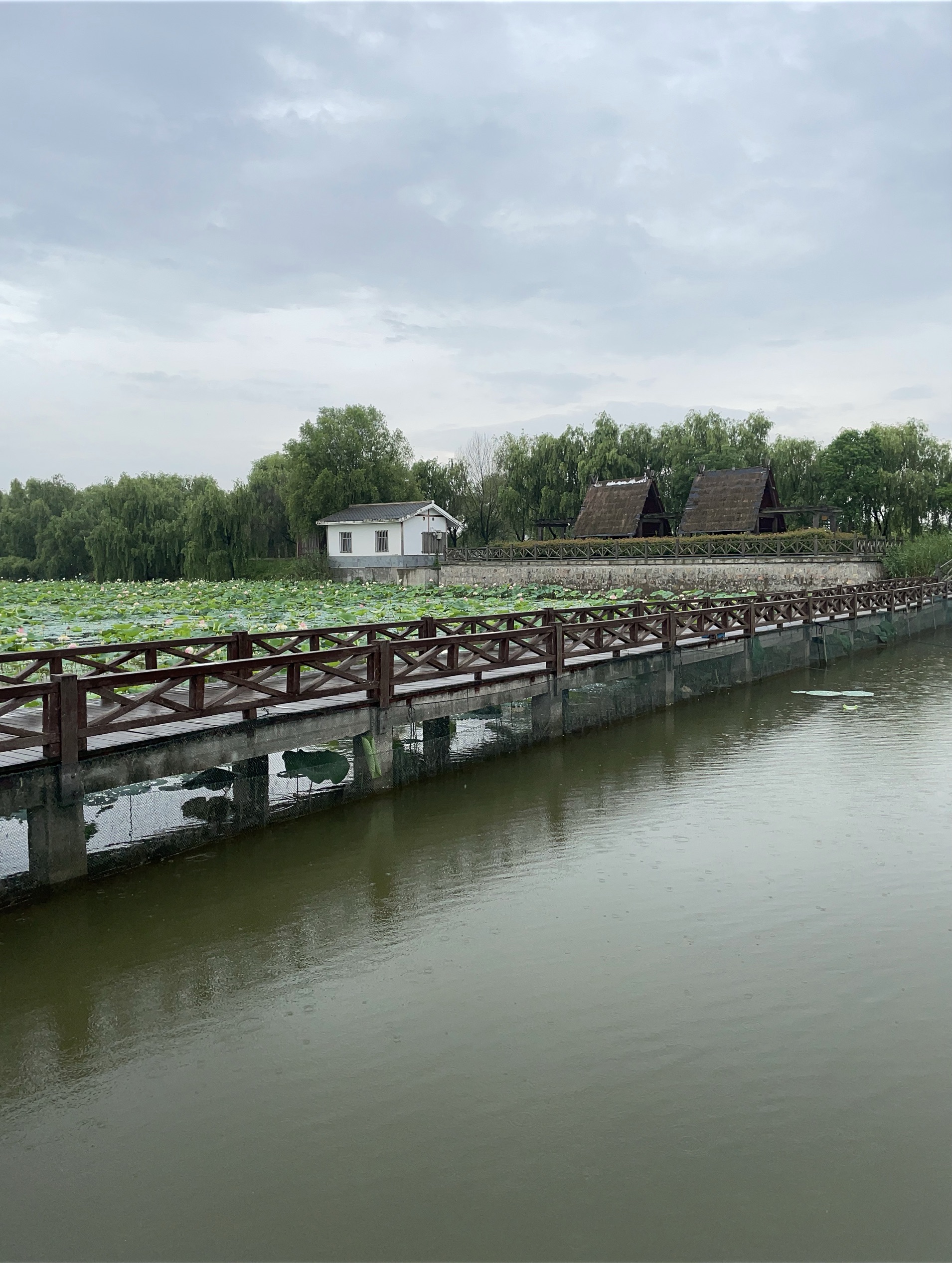 A scenic view of jiaogang lake