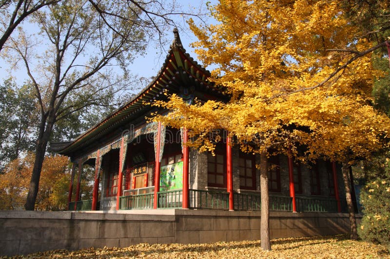 A scenic view of Jin Ci Temple