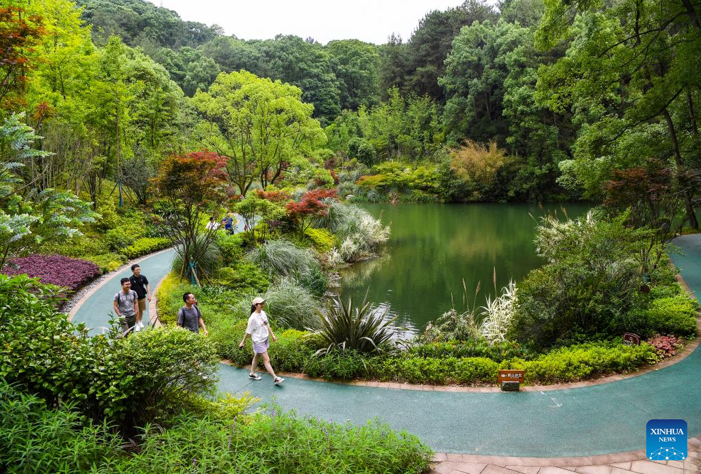 A scenic view of jinyun_mountain