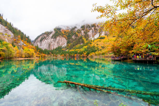 A scenic view of jiuquan huacheng lake