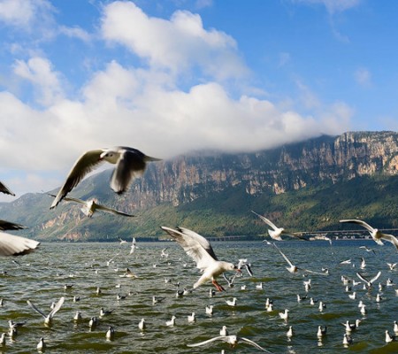 A scenic view of kunming zheng he park