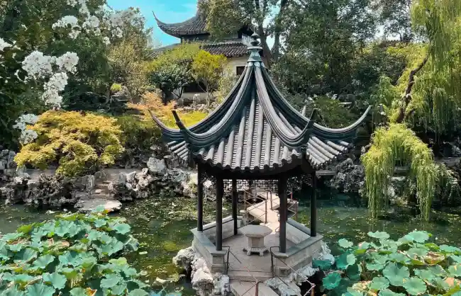 A scenic view of lion grove garden