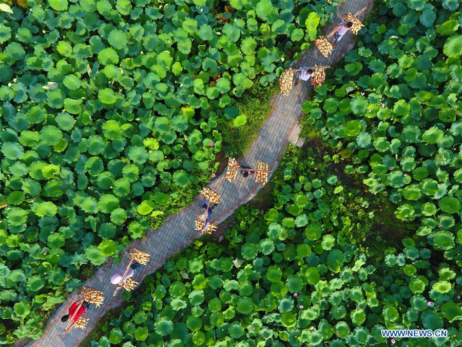 A scenic view of liuzhou lotus cave