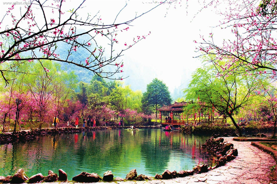 What to Expect When Visiting Longgang Taohuayuan Scenic Area in Chongqing