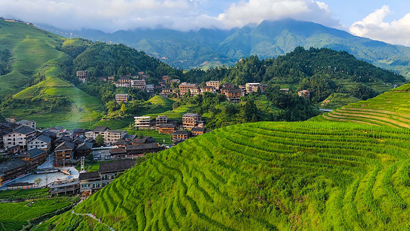 Experience the Cultural Richness of Longji Terraced Fields in Guangxi, China