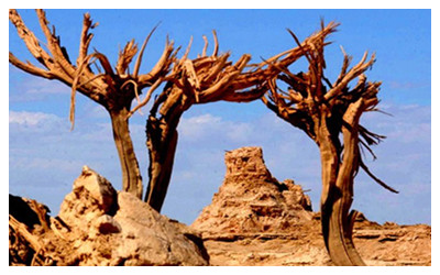A scenic view of loulan ancient city