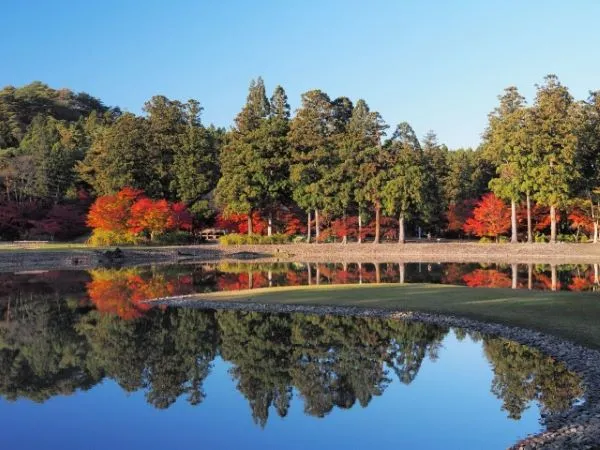 Exploring Meidaizhao Monastery: A Spiritual Retreat in Nature’s Embrace