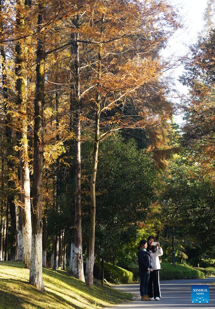 A scenic view of Meiling National Forest Park