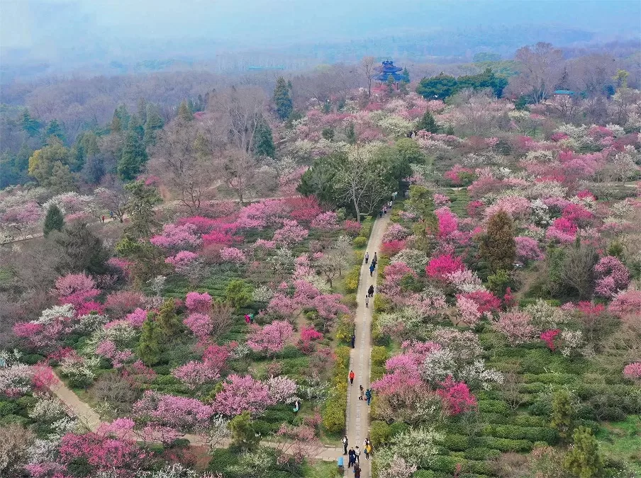 A scenic view of meiyuan garden