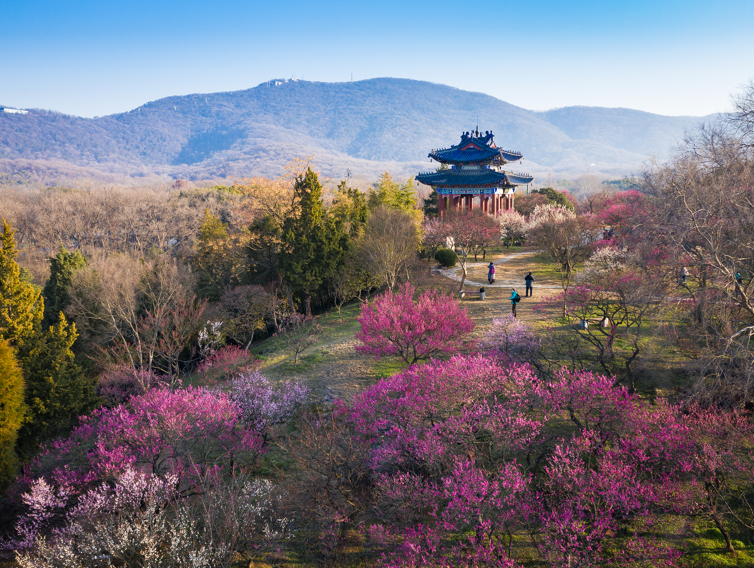 A scenic view of ming xiaoling mausoleum
