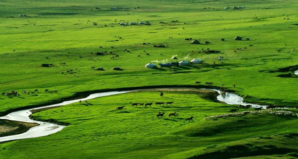A scenic view of Mulan Paddock