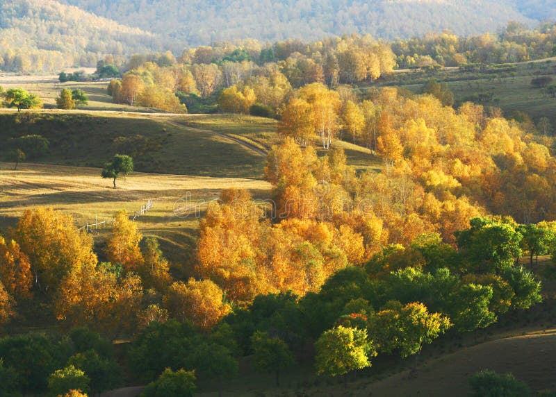 A scenic view of Mulan Prairie