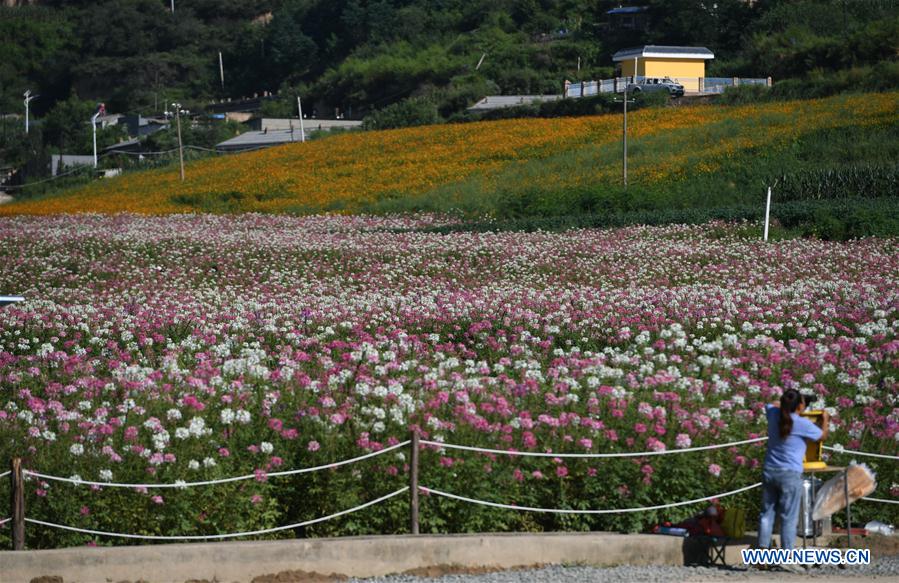 A scenic view of nanniwan_scenic_area