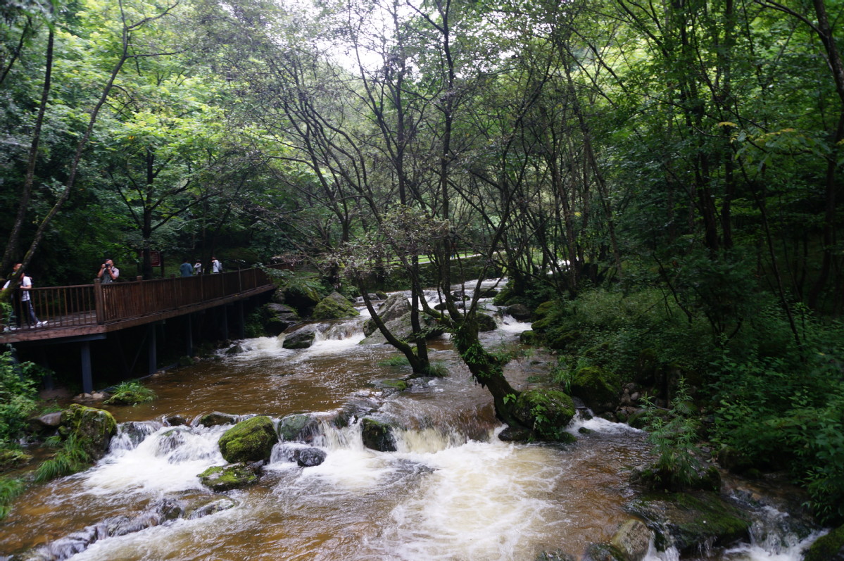A scenic view of niubeiliang_national_forest_park