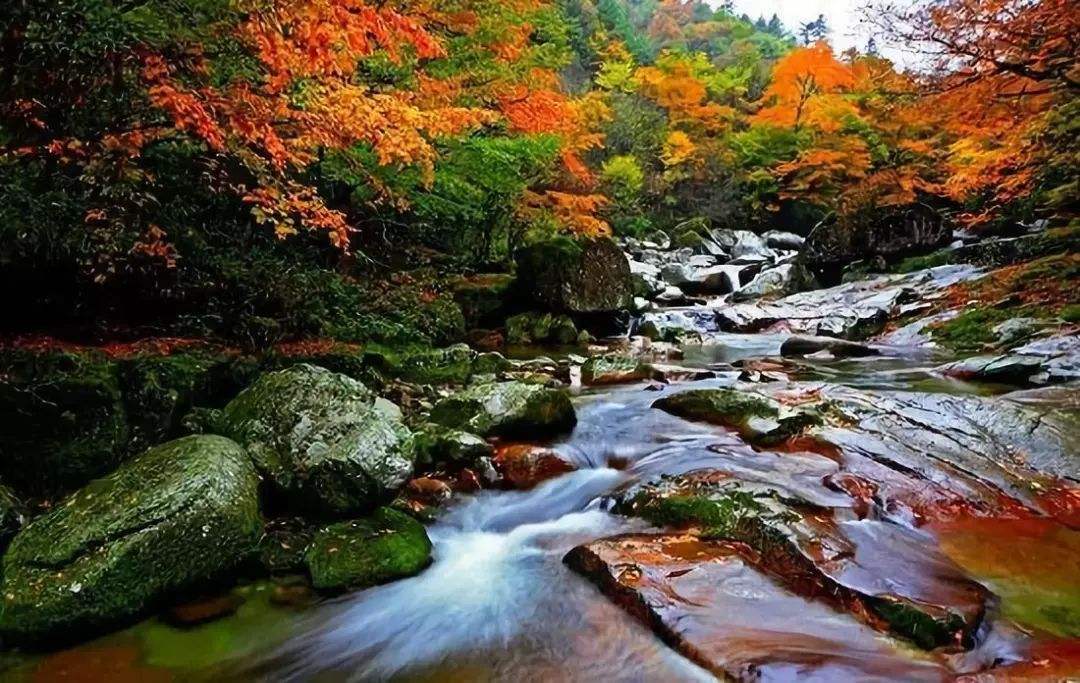 A scenic view of niubeiliang_national_forest_park