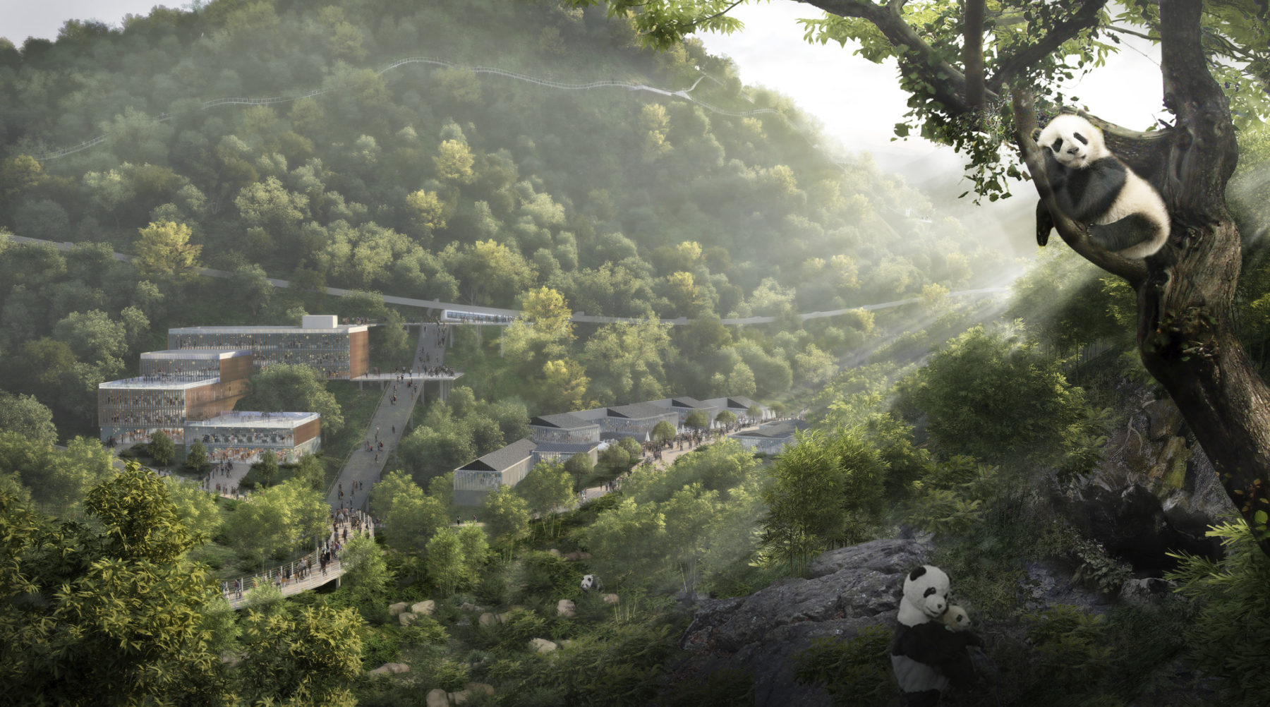 A scenic view of panda research base