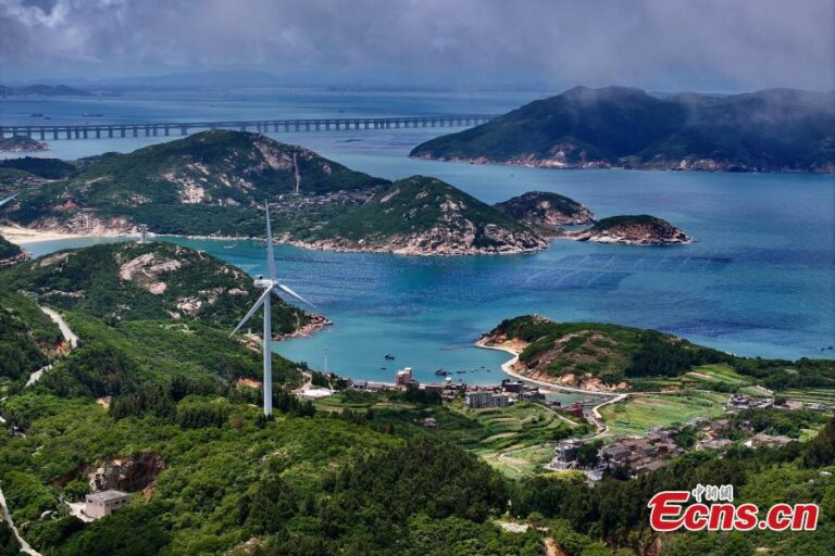 Exploring Pingtan Island: A Foodie’s Guide to Local Delicacies and Cuisine