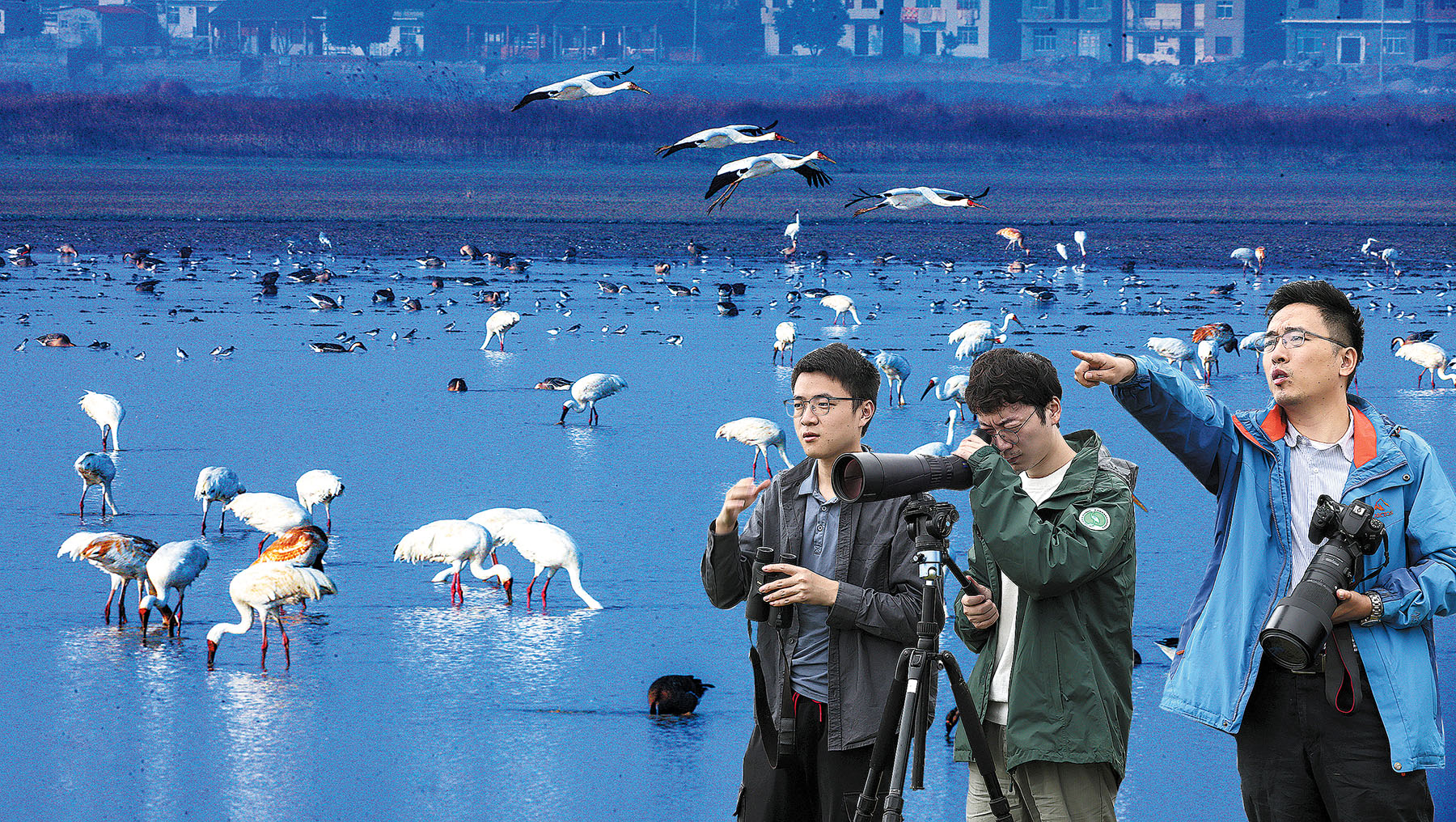 A scenic view of Poyang Lake Migratory Bird Sanctuary