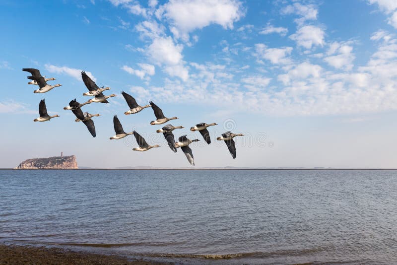 A scenic view of Poyang Lake Migratory Bird Sanctuary