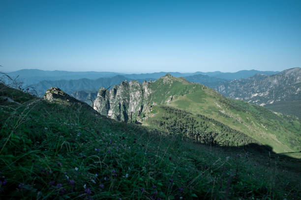 A scenic view of qin lake scenic area