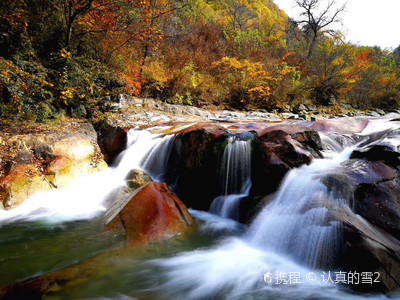 A scenic view of qinling_national_botanical_garden_scenic_area